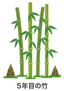 竹林のイメージ