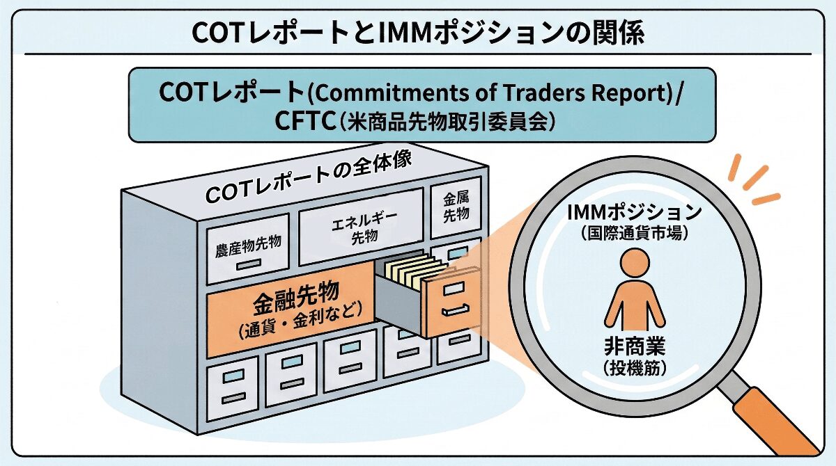 COTとIMMのイメージ