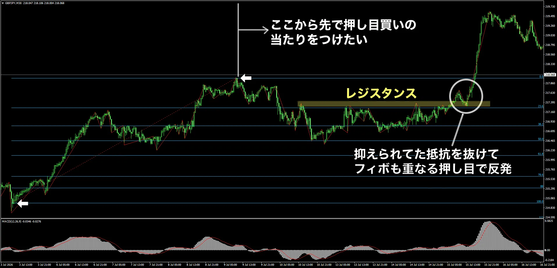 ポンド円30分足